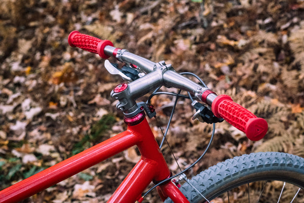 R-Werks EVOO 29er IN STOCK!