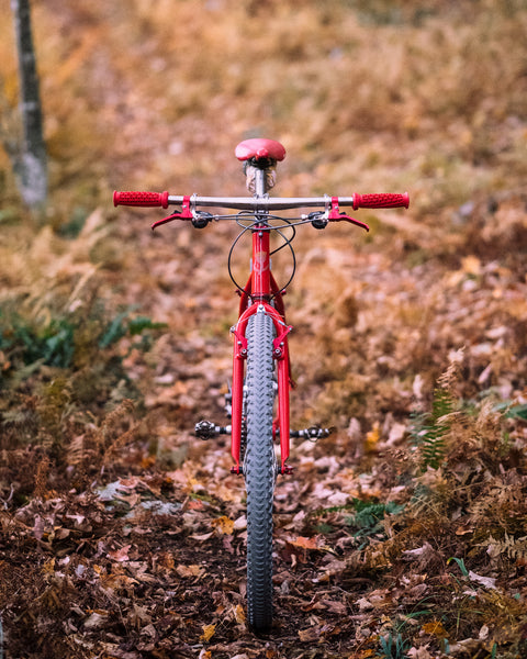R-Werks EVOO 29er IN STOCK!