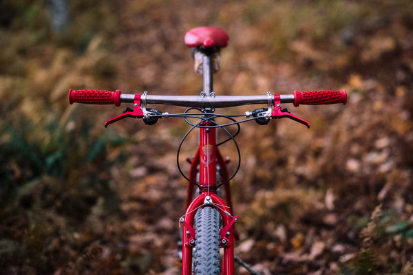 R-Werks EVOO 29er IN STOCK!