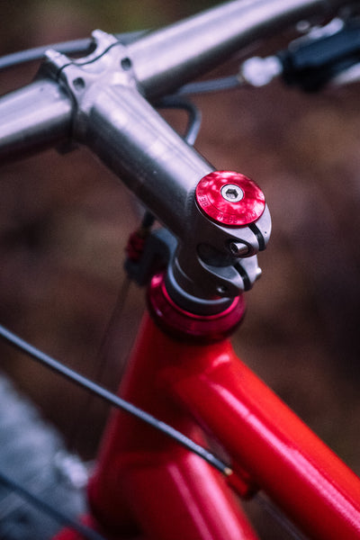 R-Werks EVOO 29er IN STOCK!