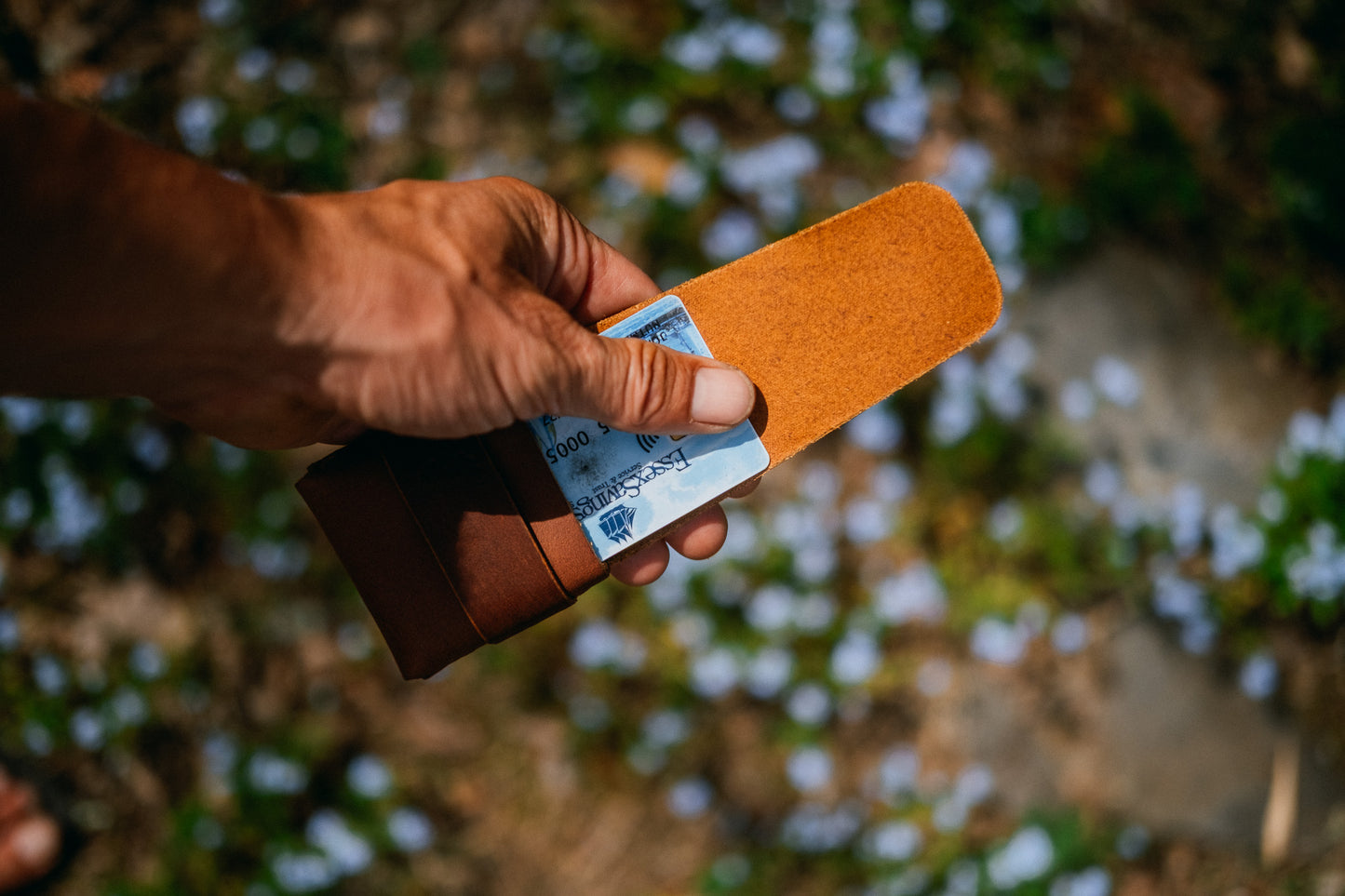 LaRon popover wallet