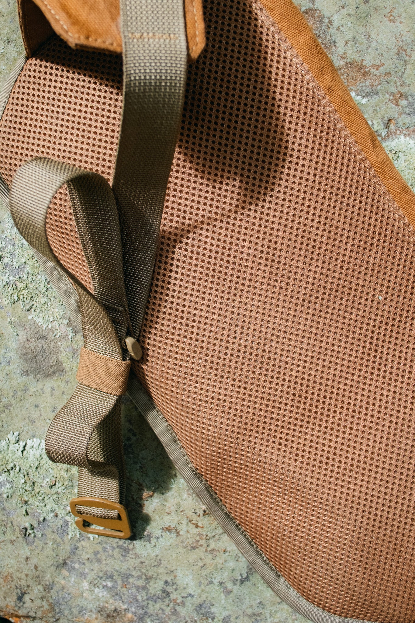 Flat Fanny