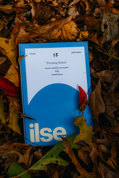 ilse/minnow/rons Nutmeg Select Ethiopian honey process