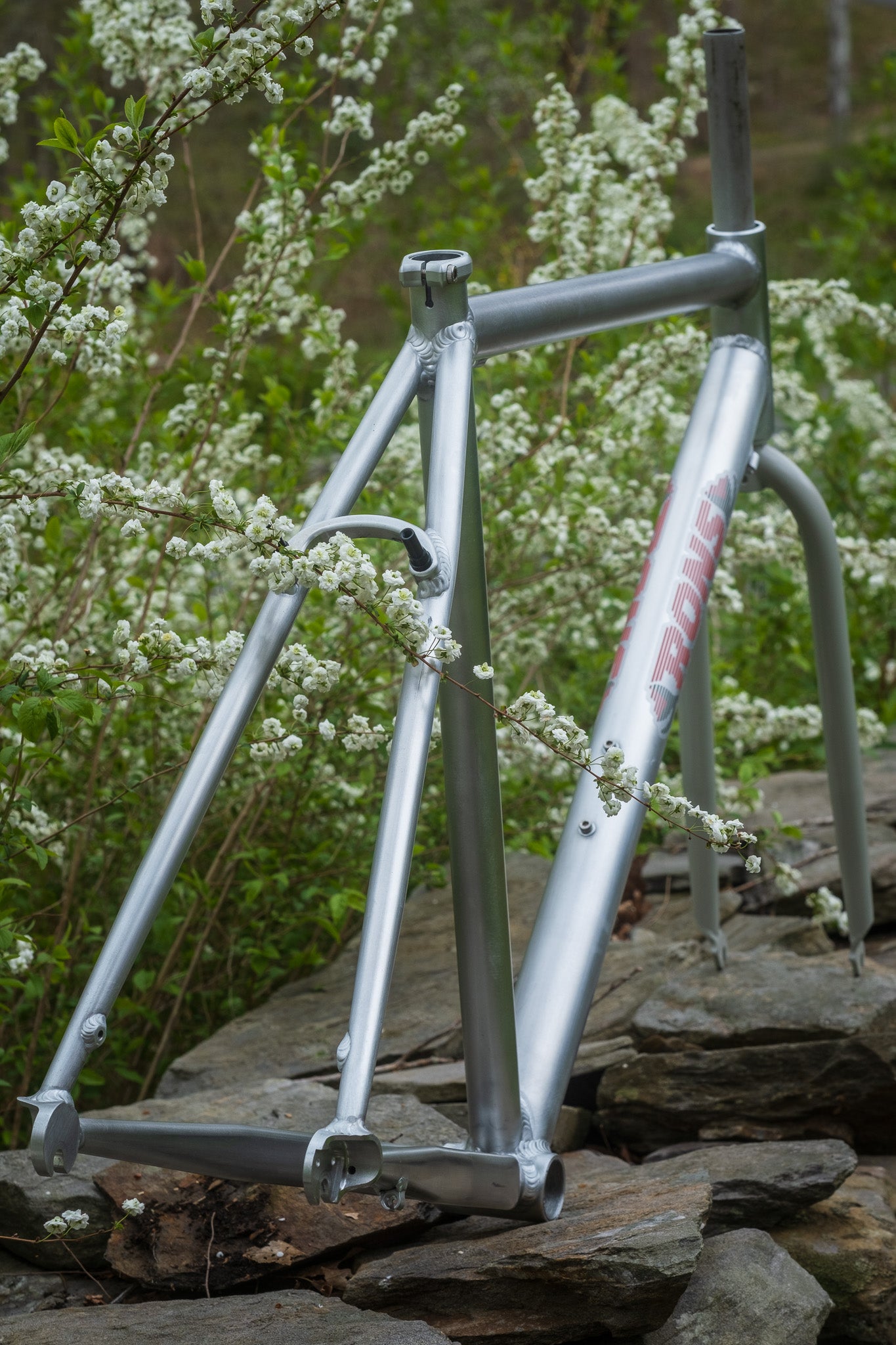 ALUMAX II (pre order December)