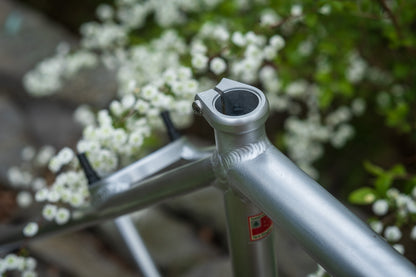 ALUMAX II (pre order December)