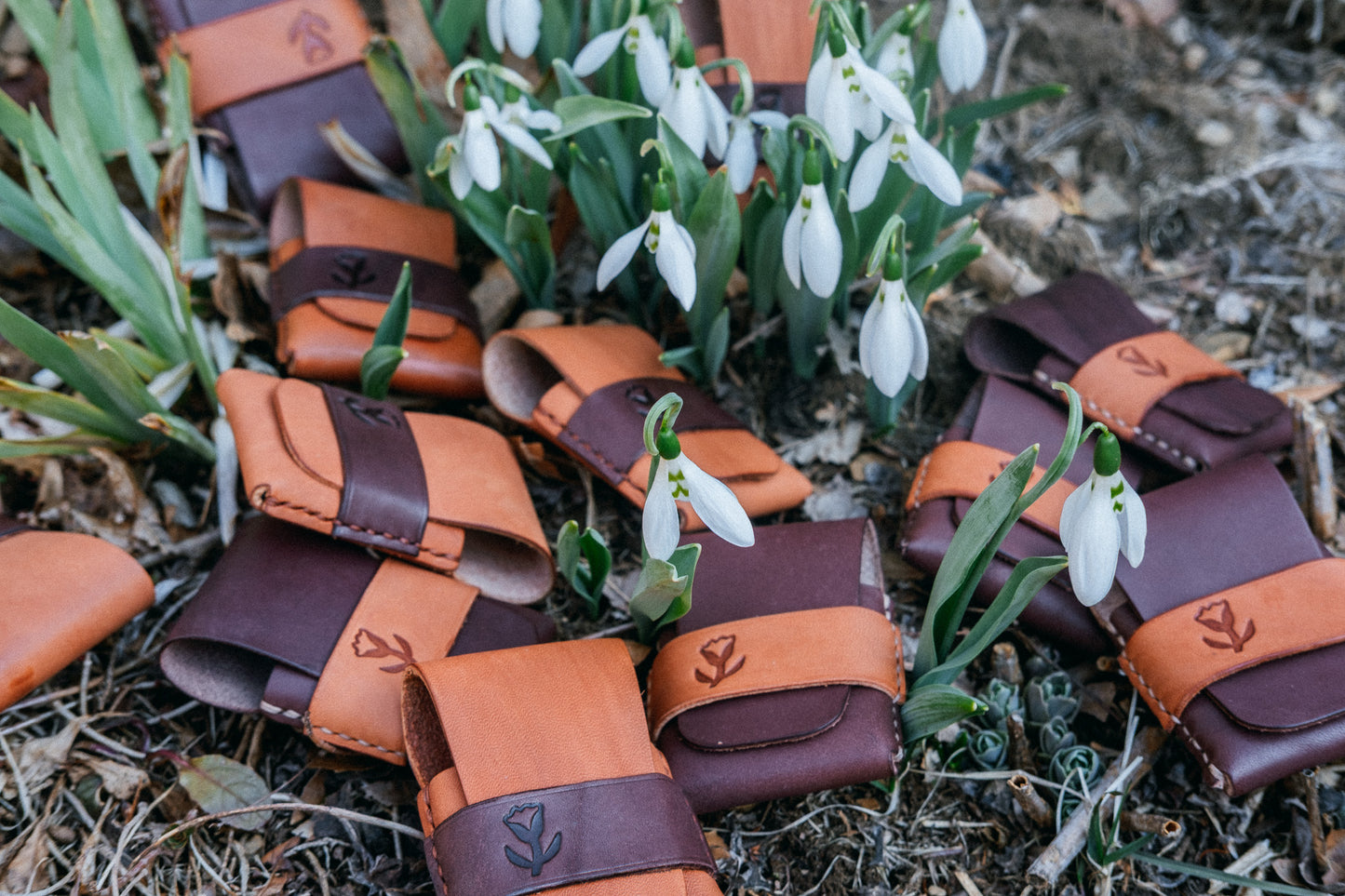 LaRon popover wallet