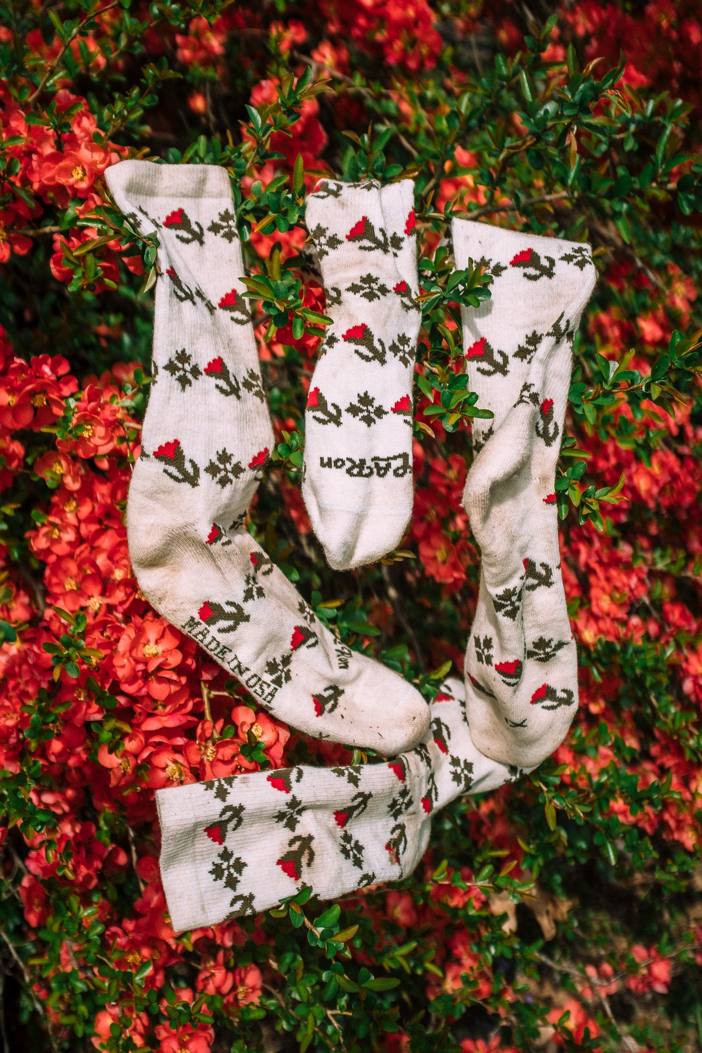 Mid-Weight Mid-Calf Socks