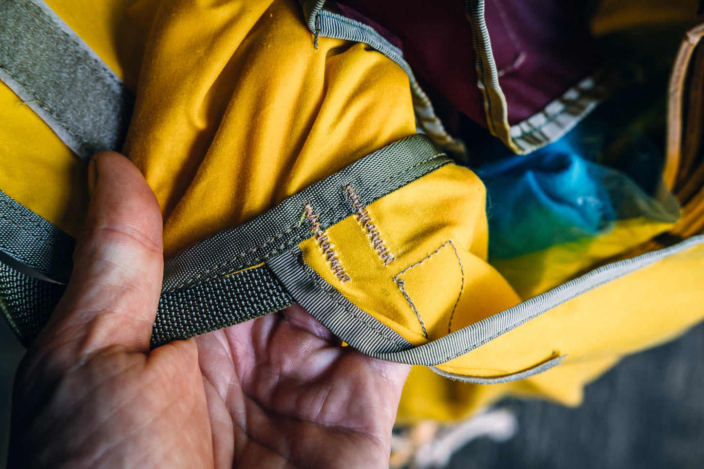 Performance Purse for Fabio