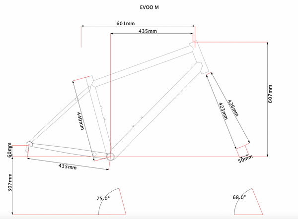 coming soon: R-Werks EVOO 29er pre order