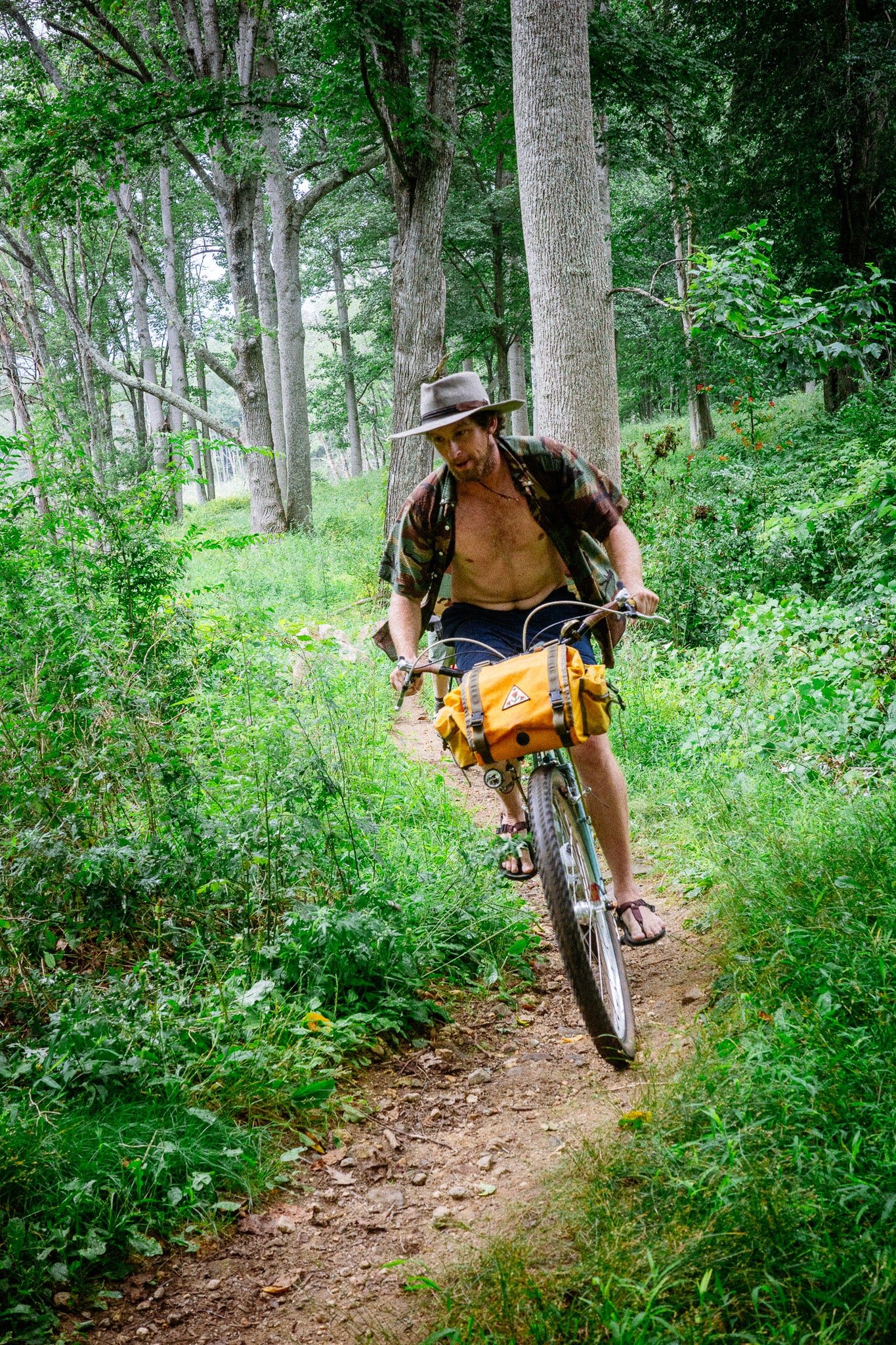 Fabios Chest SMALL – Rons Bikes