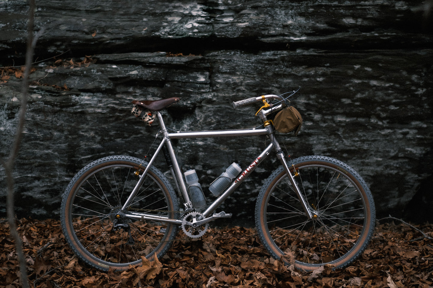 nightfall in the back yard 