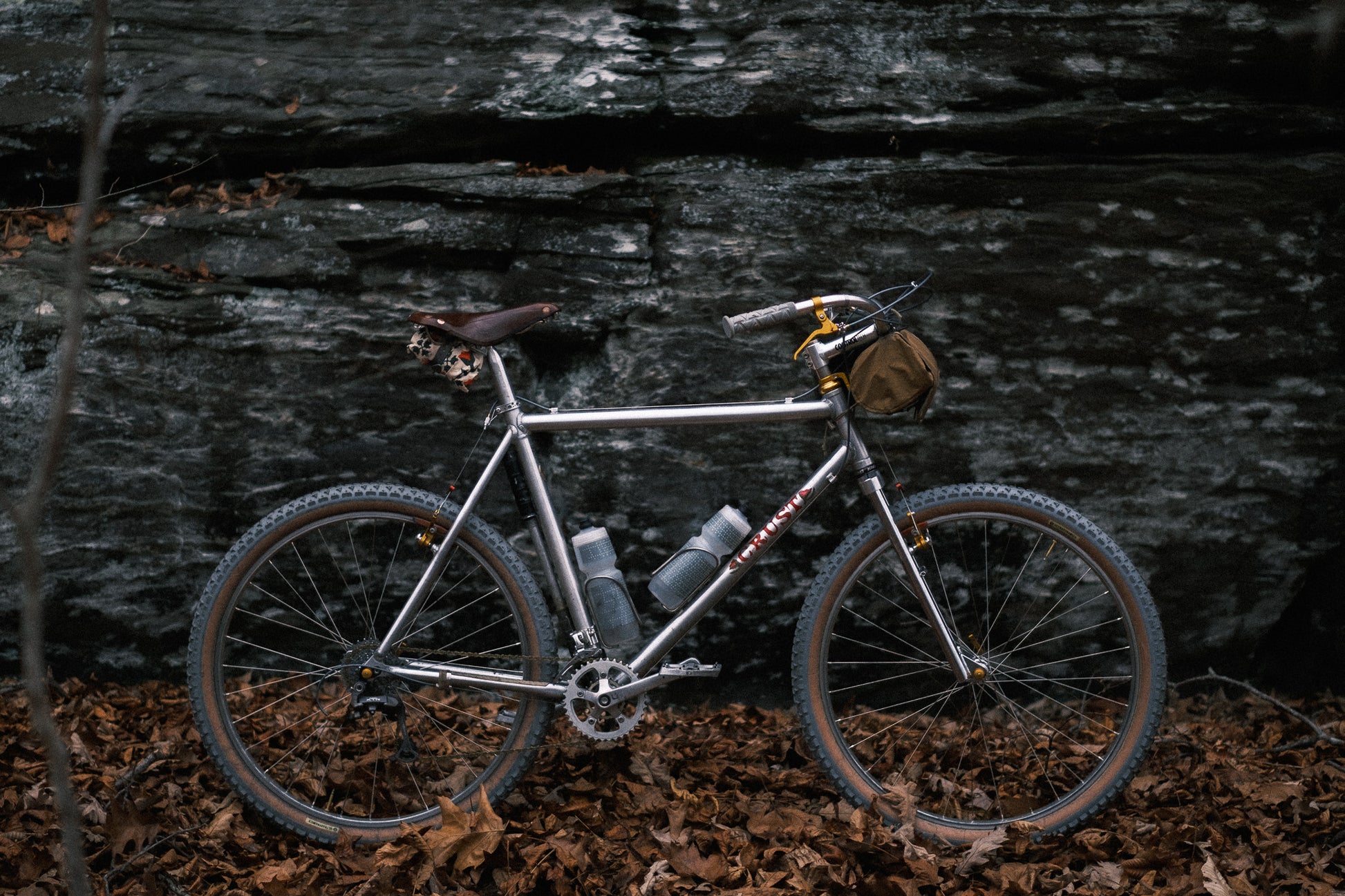 nightfall in the back yard 