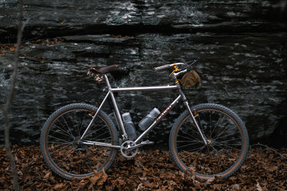 nightfall in the back yard 